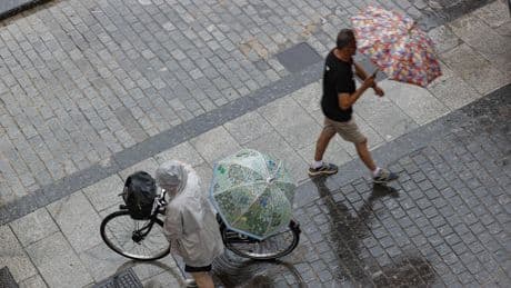 Valencia ordena desalojar playas y cierra parques y cementerios por alerta de lluvia