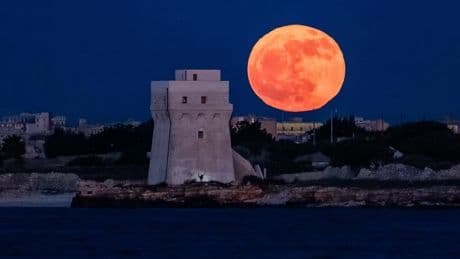 See The Full ‘Flower Moon’ Bloom: The Night Sky This Week