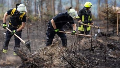 Thüringen: Waldbrand auf Saalfelder Höhe unter Kontrolle