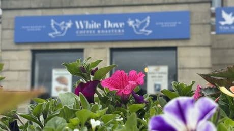 Stirling city centre streets in bloom thanks to business group's planter scheme
