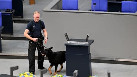 Sitz! Platz! Büro? - Wie hundelieb sind unsere Ministerien?