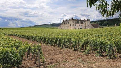 Gibt es im Himmel guten Wein?