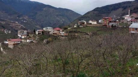 Danıştay kararını verdi: 35 yıl sonra Giresun'a bağlandılar