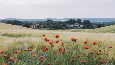 Uckermark: Ist hier noch wer?