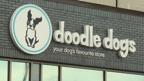 Calgary small business blames ongoing construction for forcing it to shut its doors