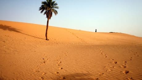 Sahara occidental : la France annonce un investissement de 150 millions d'euros