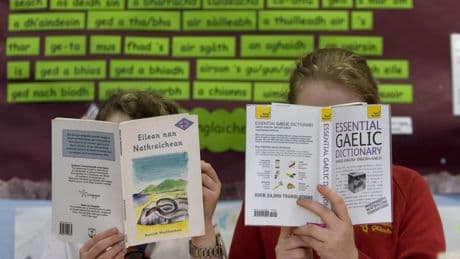 Dictionary detailing origins of every Gaelic word secures share of £500,000