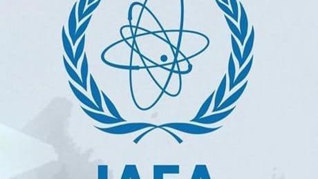 Uluslararası Atom Enerjisi Ajansı: Yasak Bölge'de birkaç dron tespit edildi