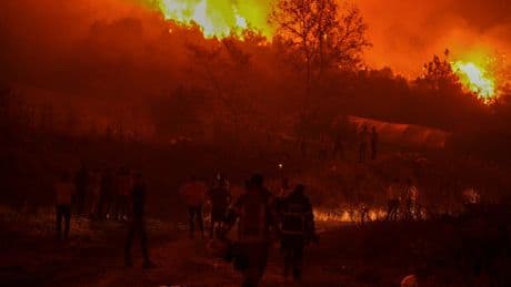 ‘Apocalyptic’ Turkey wildfires spread as 14 killed in blazes sparked by record 50C heatwave