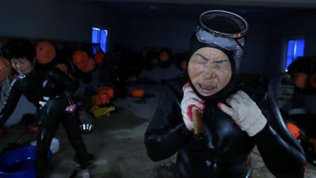 Ni la vista ni el oído: otro rasgo ha evolucionado ante nuestros ojos en Corea del Sur