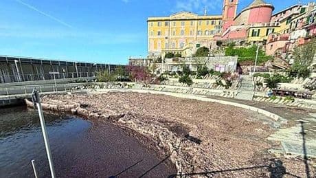 Elezioni, nel fortino di Levante di Genova: mugugni e recriminazioni per la vittoria del centrosinistra