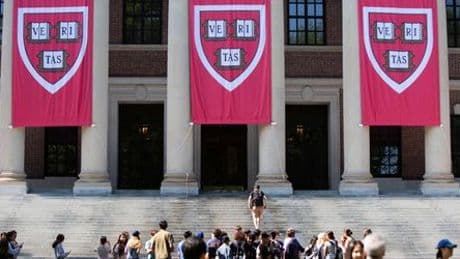Harvard: Wegen Donald Trump tötet die Eliteuniversität nun wohl Labormäuse