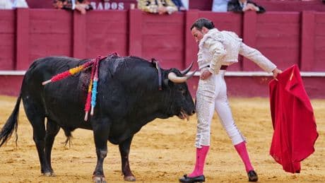 David de Miranda se alza con el Capote de Paseo de la Feria de Málaga