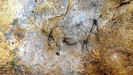 Révélations sur les rites d'initiation préhistoriques : quand la grotte d’Etxeberri livre ses secrets