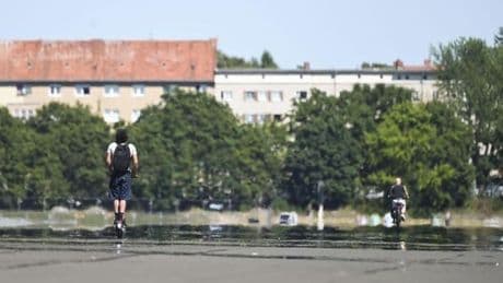 Tempelhofer Feld: „Ein Kompromiss müsste doch möglich sein“