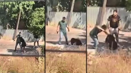 Bitmiyor... Bu kez Ümraniye'de yaşandı: Kadının kafasına silah dayayıp...