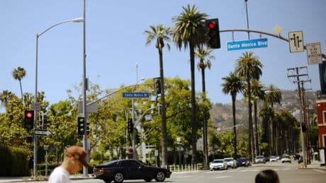 Vehicle crashes into Los Angeles crowd leaving 15 people seriously injured