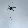 KIJK. Zwerm Aziatische hoornaars valt vliegende drone aan in Bekkevoort: “Het toestel zat vol met die diertjes”