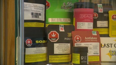 Strike fears hit B.C. cannabis industry, with 2022 disruption still fresh in mind