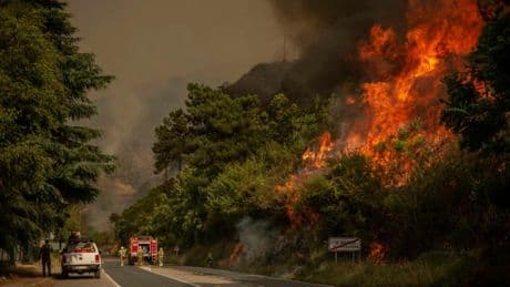 Por qué España ha evitado los incendios pese al calor extremo de junio: "Ahora entramos en la parte más crítica"