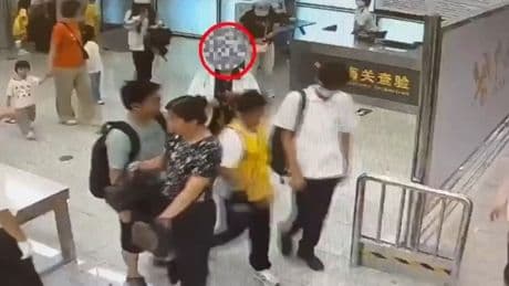 Woman caught at customs with four snakes stuffed down her bra