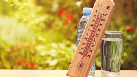 Fortes chaleurs en France : un mois de juin aux allures de plein été ?