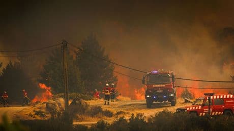 Europa podría sufrir olas de calor que nos tengan semanas a 40 °C, según un nuevo estudio