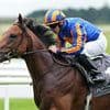 Robin Goodfellow's racing tips: Best bets for Wednesday, May 14