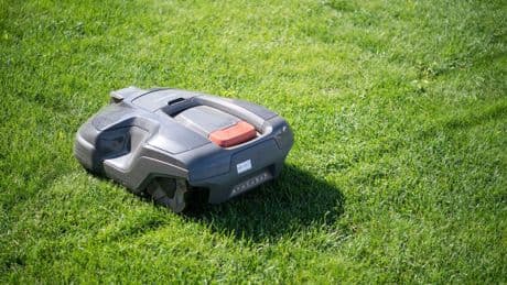 Zum Schutz von Igeln: Erste Kommunen wollen nächtliches Verbot für Mähroboter