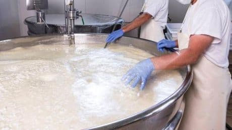 Latte crudo, il Caseificio Val D’Aveto informa sui possibili rischi: “Per un consumo attento e consapevole”