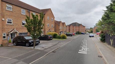Two people seriously injured in ‘XL bully’ dog attack