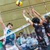 Volleyball-Bundesliga: Netzhoppers halten Homberger und Möller