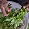 Forgotten 'weeds' prove a culinary hit in Kenya