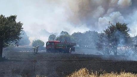 Çanakkale'deki orman yangınlarıyla ilgili 26 kişi hakkında adli işlem başlatıldı