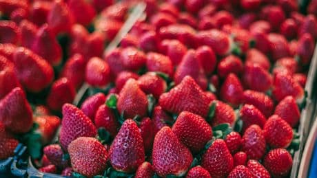 Obst im April: Warum Sie bei dieser Sorte noch warten sollten