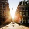 NU+ | Hoe koel je een stad met groen? 'Je kan niet overal een boom neerzetten'