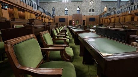 Trade deals, bail bills and other issues in focus for members of Parliament