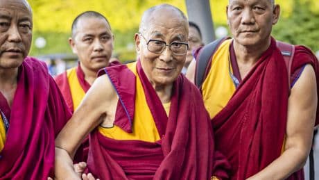 Dalai Lama says he plans to reincarnate - but how is a successor chosen and why is it controversial?