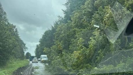 Tree falls on car on A84 and tree removed from overhead railway line as Storm Floris batters Stirling