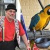 “Ik heb hem zelf grootgebracht met een lepeltje...”: clown Renaldo moet papegaai Rocky, ster in zijn shows, afstaan na klacht
