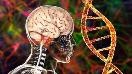 Alzheimer-Therapie mit Lecanemab: Wie sie wirkt und wem sie Hoffnung macht