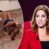 The bikini-wearing, chain-smoking journalist who could be the next Brigitte Macron: TV host Lea Salame is being touted as the next French First Lady - as her dashing 45-year-old husband Raphael Glucksmann eyes up the presidency