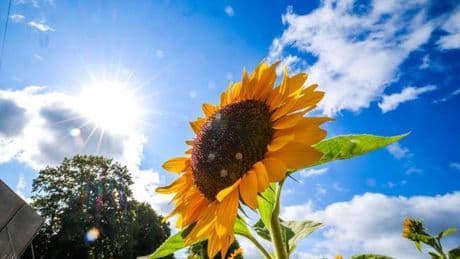 Wetter: Sonne und Wolken wechseln sich über NRW ab