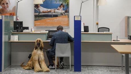 Contratto bancari, in giugno aumento medio di 50 euro