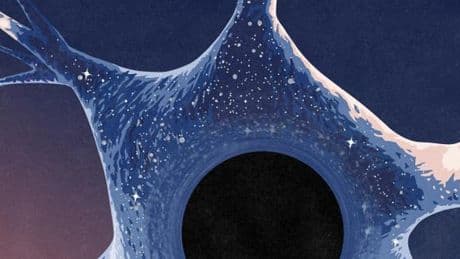 Maladie de Parkinson : la recherche pour de meilleurs traitements en effervescence