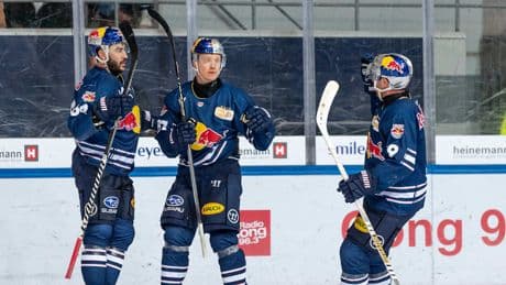 Nächster Transfer beim Aufsteiger - Dresden schlägt schon wieder in München zu
