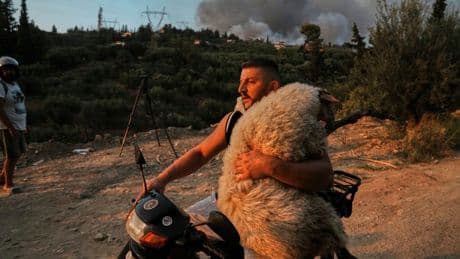 The top photos of the day by AP's photojournalists