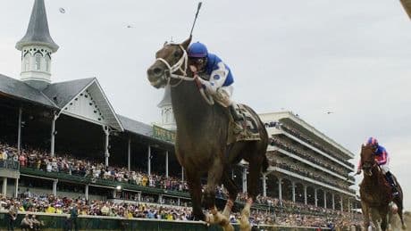 Derby, Stakes winner Smarty Jones elected to Racing Hall of Fame