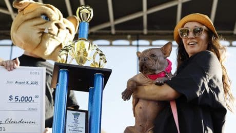 Honden strijden in Californië mee in jaarlijkse wedstrijd voor 'lelijkste hond ter wereld'
