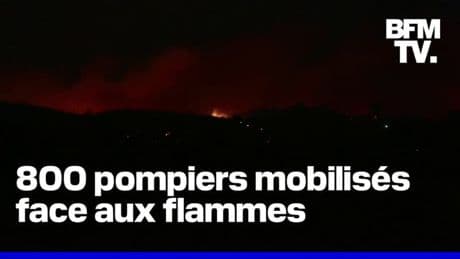 Ardèche, Martigues, Brocéliande, Fréjus... La France en proie aux flammes